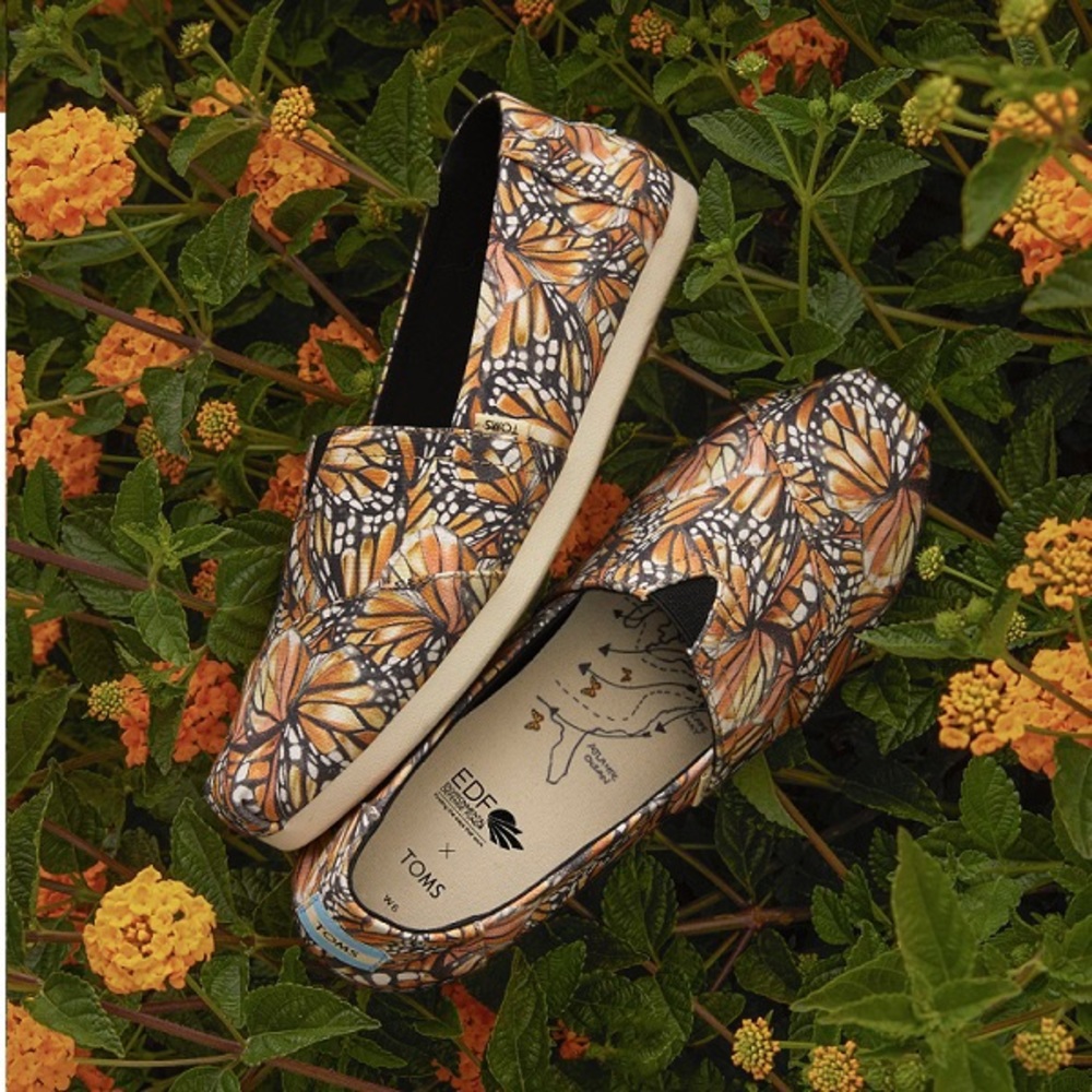 Toms monarch butterfly alpargata size 9